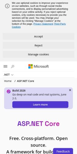 Screenshot of the audited page (Mobile 375×812)