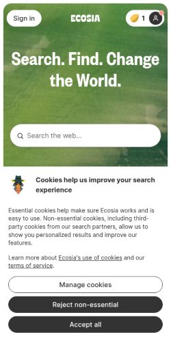 Screenshot of the audited page (Mobile 375×812)