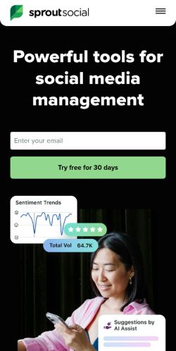 Screenshot of the audited page (Mobile 375×812)