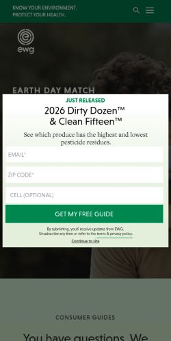 Screenshot of the audited page (Mobile 375×812)