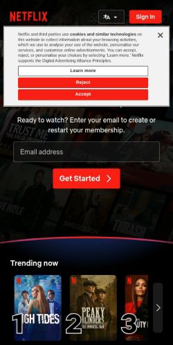 Screenshot of the audited page (Mobile 375×812)