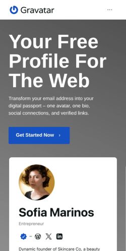Screenshot of the audited page (Mobile 375×812)
