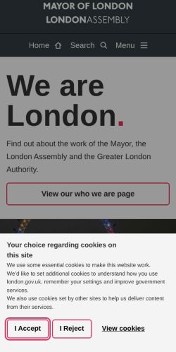 Screenshot of the audited page (Mobile 375×812)