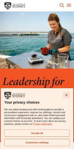Screenshot of the audited page (Mobile 375×812)