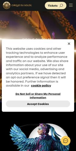 Screenshot of the audited page (Mobile 375×812)