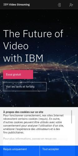 Screenshot of the audited page (Mobile 375×812)