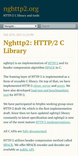 Screenshot of the audited page (Mobile 375×812)