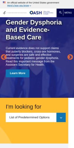 Screenshot of the audited page (Mobile 375×812)
