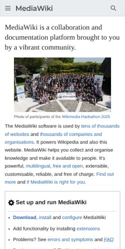 Screenshot of the audited page (Mobile 375×812)
