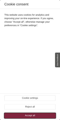 Screenshot of the audited page (Mobile 375×812)