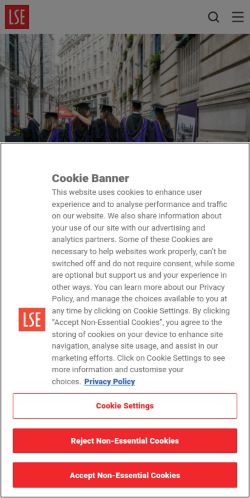 Screenshot of the audited page (Mobile 375×812)