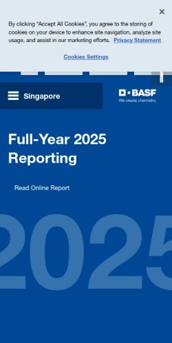 Screenshot of the audited page (Mobile 375×812)