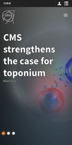 Screenshot of the audited page (Mobile 375×812)