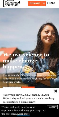 Screenshot of the audited page (Mobile 375×812)