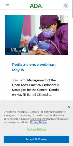 Screenshot of the audited page (Mobile 375×812)
