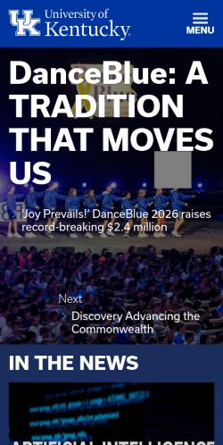 Screenshot of the audited page (Mobile 375×812)