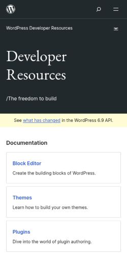 Screenshot of the audited page (Mobile 375×812)