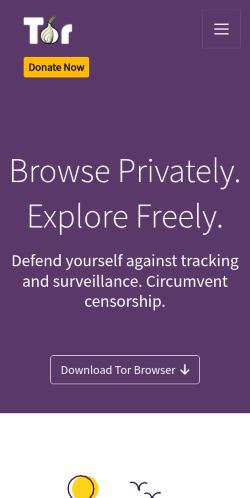 Screenshot of the audited page (Mobile 375×812)