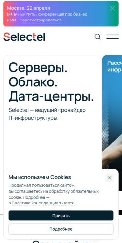 Screenshot of the audited page (Mobile 375×812)