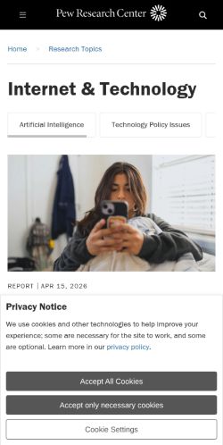 Screenshot of the audited page (Mobile 375×812)