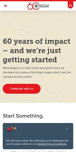 Screenshot of the audited page (Mobile 375×812)