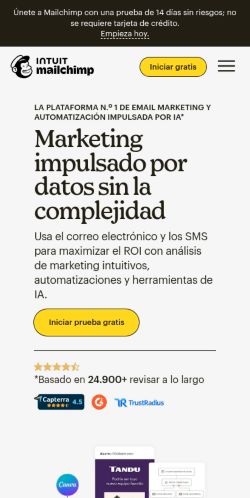 Screenshot of the audited page (Mobile 375×812)