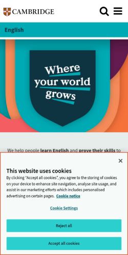 Screenshot of the audited page (Mobile 375×812)