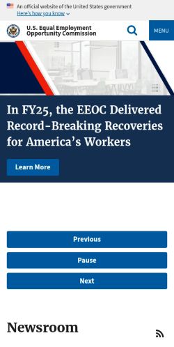 Screenshot of the audited page (Mobile 375×812)