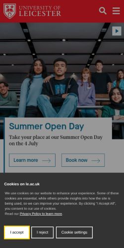 Screenshot of the audited page (Mobile 375×812)