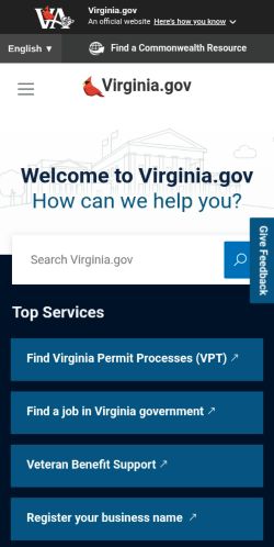 Screenshot of the audited page (Mobile 375×812)
