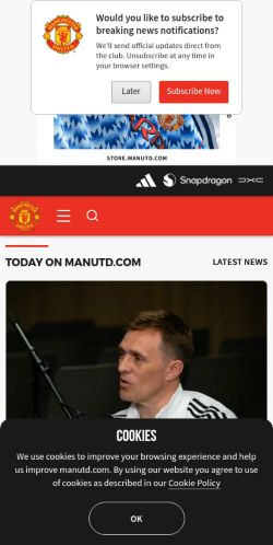 Screenshot of the audited page (Mobile 375×812)