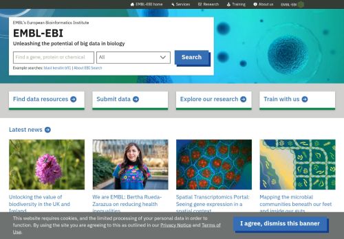 Screenshot of the audited page (Desktop 1440×900)