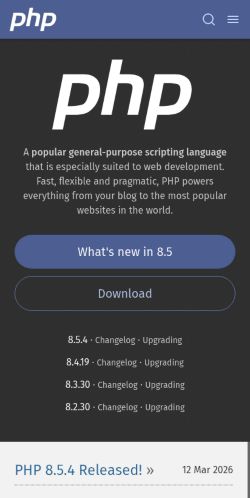 Screenshot of the audited page (Mobile 375×812)