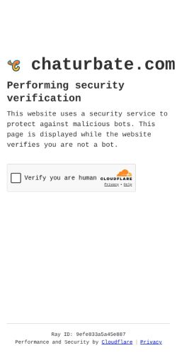 Screenshot of the audited page (Mobile 375×812)