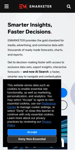 Screenshot of the audited page (Mobile 375×812)