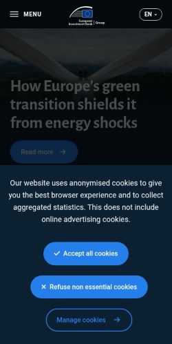 Screenshot of the audited page (Mobile 375×812)