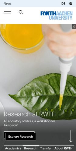 Screenshot of the audited page (Mobile 375×812)