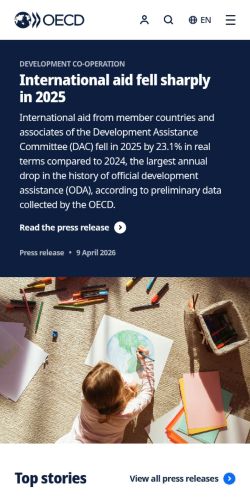 Screenshot of the audited page (Mobile 375×812)