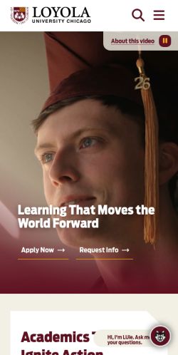 Screenshot of the audited page (Mobile 375×812)