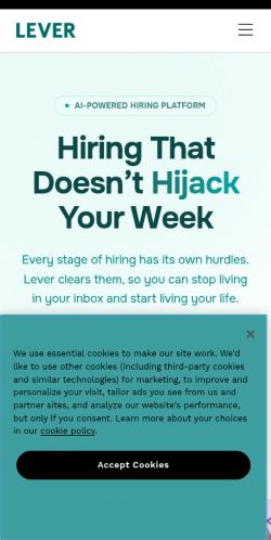 Screenshot of the audited page (Mobile 375×812)
