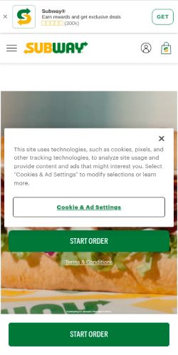 Screenshot of the audited page (Mobile 375×812)