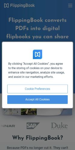 Screenshot of the audited page (Mobile 375×812)
