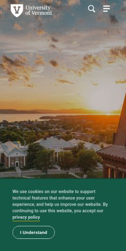 Screenshot of the audited page (Mobile 375×812)