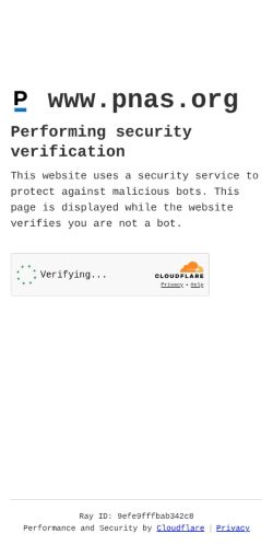 Screenshot of the audited page (Mobile 375×812)