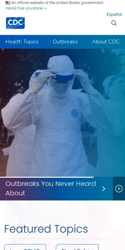 Screenshot of the audited page (Mobile 375×812)