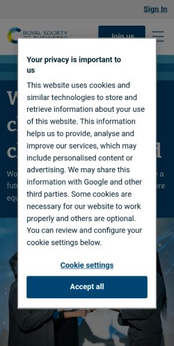 Screenshot of the audited page (Mobile 375×812)
