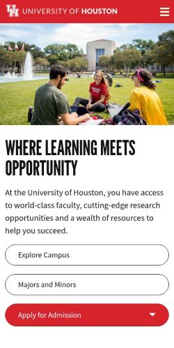 Screenshot of the audited page (Mobile 375×812)