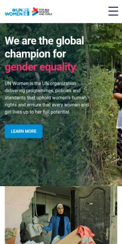 Screenshot of the audited page (Mobile 375×812)