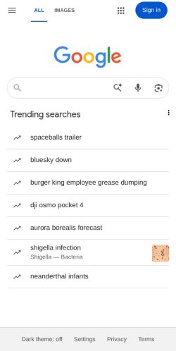 Screenshot of the audited page (Mobile 375×812)