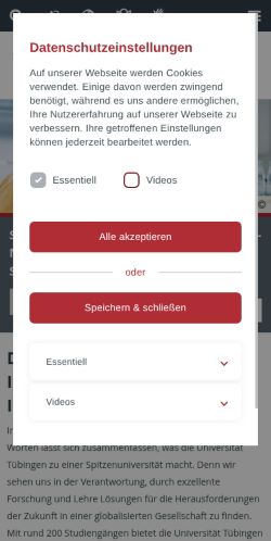 Screenshot of the audited page (Mobile 375×812)
